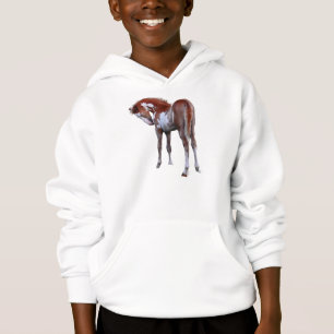 Geschenk für Pferdefreunde Hoodie