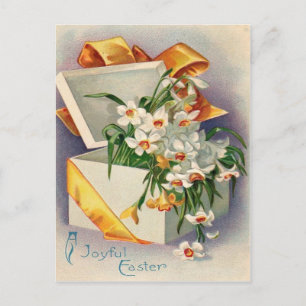 Geschenk Gegenwart Daffodil Jonquil Postkarte