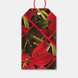 Geschenk Tag Poinsettia Weihnachtsfeiertag Geschenkanhänger