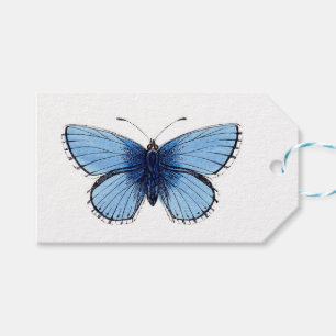 Geschenkanhänger - Blauer Schmetterling