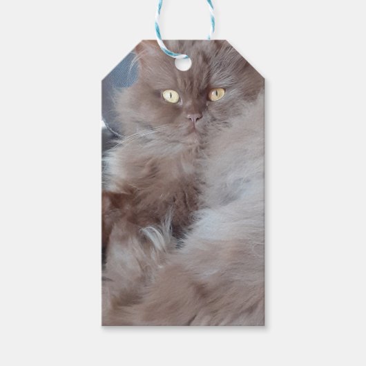 Geschenkanhänger Kuschelkatze (Vorderseite)
