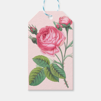 Geschenkanhänger mit rosa Rosenblüte