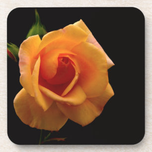 Geschenkartikel aus lebhafter orangefarbener Rose Untersetzer