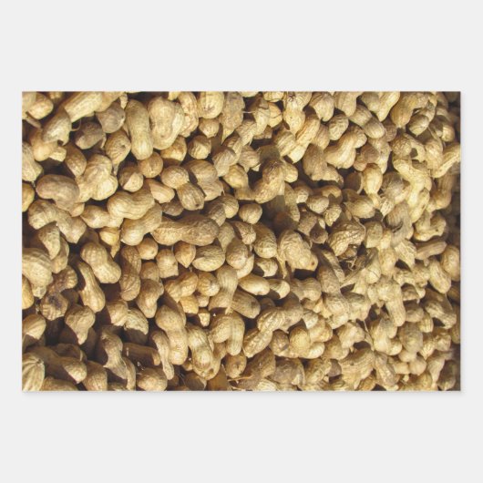 Geschenkbeutel - Erdnüsse in 3 Größen Geschenkpapier Set (Vorderseite)