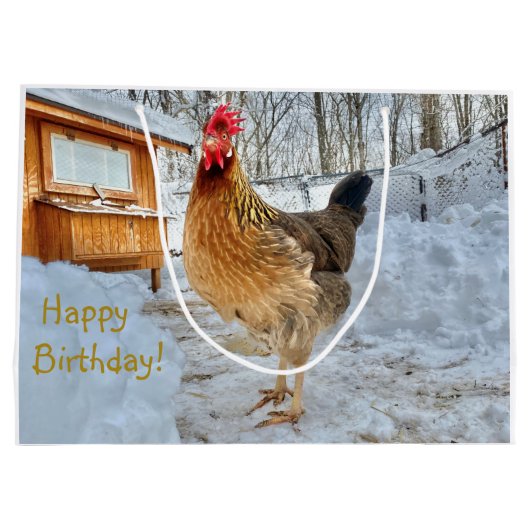 Geschenkbeutel Große Geschenktüte (Rückseite)