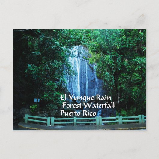 Geschenke aus der Karibik Postkarte (Vorderseite)