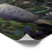 GESCHENKE DER FAIRIEN POSTER (Ecke)