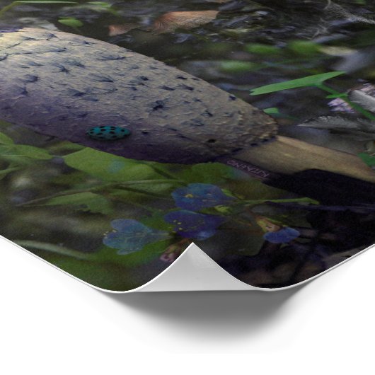 GESCHENKE DER FAIRIEN POSTER (Ecke)