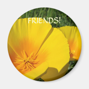 GESCHENKE FREUNDE Magnet MOHNBLUMEN Blumen Magnet