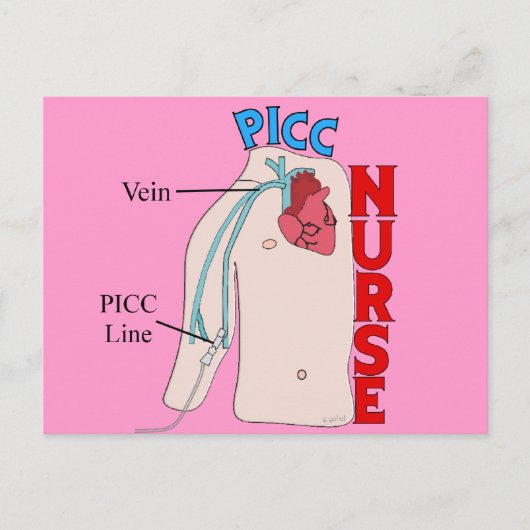 Geschenke für anatomisches Design der PICC-Linie Postkarte (Vorderseite)