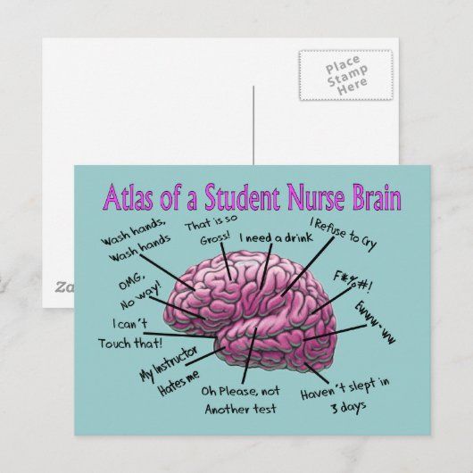 Geschenke für Studierende Postkarte (Vorne/Hinten)