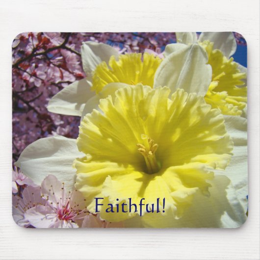 Geschenke mousepad Gelbe affodische Blume (Vorne)