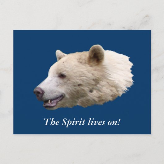 Geschenke "Spirit Bear" Postkarte (Vorderseite)