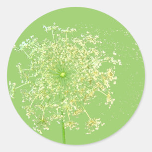 Geschenke und Andenken mit Queen Annes Spitze Runder Aufkleber