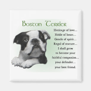 Geschenke von Boston Terrier Magnet