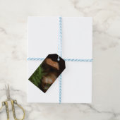 Geschenketiketten für Pilze Geschenkanhänger (Mit Garn)