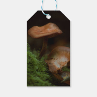 Geschenketiketten für Pilze Geschenkanhänger