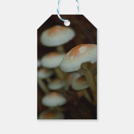 Geschenketiketten für Pilze Geschenkanhänger (Vorderseite)
