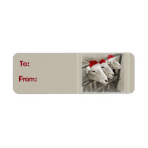 Geschenketiketten für Schafe
