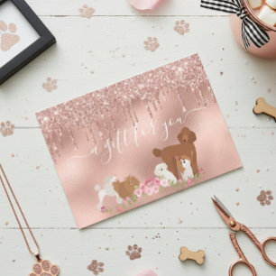 Geschenkgutschein Boarding Hunde Erwachsener Haust