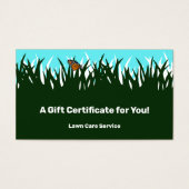 Geschenkgutschein der Lawinenservice-Firma (Vorderseite)