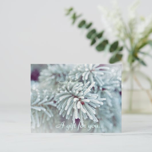 Geschenkgutschein "Frosty Pine Bough Holiday" Postkarte (Stehend Vorderseite)