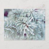 Geschenkgutschein "Frosty Pine Bough Holiday" Postkarte (Vorderseite)
