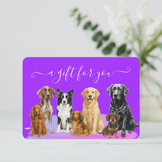 Geschenkgutschein für lila Hunde Boarding (Stehend Vorderseite)