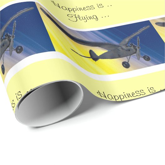 Geschenkgutschrift - Modellflugzeug Geschenkpapier (Rolleneckpunkt)