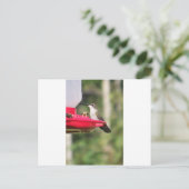 Geschenkideen für Hummingvögel Postkarte (Stehend Vorderseite)
