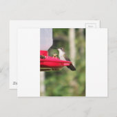 Geschenkideen für Hummingvögel Postkarte (Vorne/Hinten)