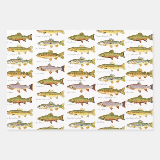 Geschenkpackung für Bobber, Lures und Trout Geschenkpapier Set (Vorderseite 3)