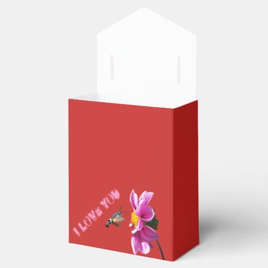 Geschenkpackung Geschenkschachtel (Geöffnet)