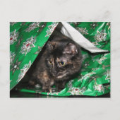 Geschenkpackung tortoiseshell postkarte (Vorderseite)