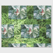 Geschenkpapier (Flach)