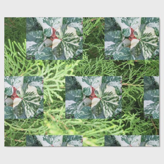 Geschenkpapier (Flach)