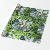 Geschenkpapier (Ungerollt)