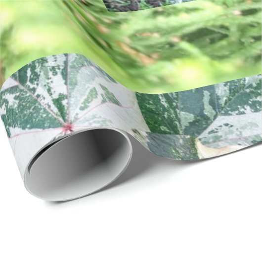 Geschenkpapier (Rolleneckpunkt)