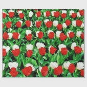 Geschenkpapier (Flach)