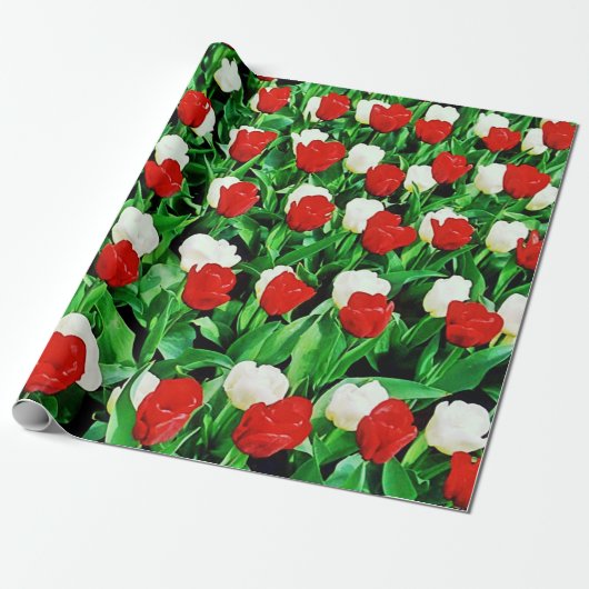 Geschenkpapier (Ungerollt)