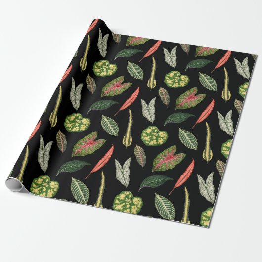 Geschenkpapier (Ungerollt)