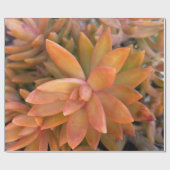 Geschenkpapier (Flach)