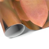 Geschenkpapier (Rolleneckpunkt)