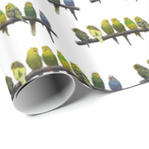 Geschenkpapier Außenseiter (Farbe wählen)