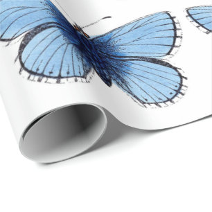 Geschenkpapier - Blauer Schmetterling