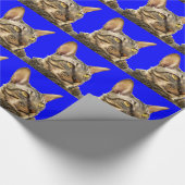 Geschenkpapier |Cornish Rex Tiger Cat Blue (Ecke)