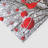 Geschenkpapier mit Kardinal Bird Seidenpapier (Ausschnitt)