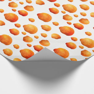 Geschenkpapier Muscheln