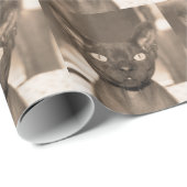 Geschenkpapier | Sepia Devon Rex Katze Sphynx Gott (Rolleneckpunkt)