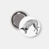 Geschenkschutz-Pfoten-Trage Magnet (Vorderseite/Rückseite)